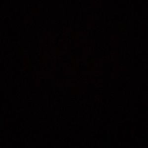 Meet your Posher, Breeze